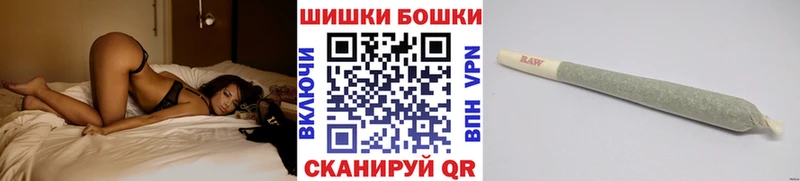 Купить где  Чкаловск  Каннабис ГИДРОПОН 